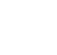 plus-white